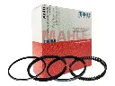MAHLE MPI.webp