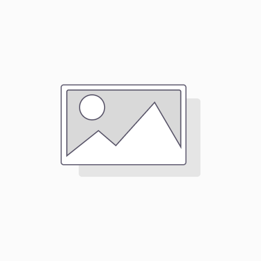 [026198421-0.25] SEPARADOR AXIAL CIGUEÐAL (MEDIA LUNA) GOL/FOX 1.6 0.25